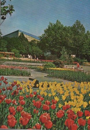 Essen - Bundesgartenschau, Farbenterrassen - 1965 Essen - Bundesgartenschau, Farbenterrassen - 1965