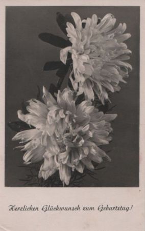 Glückwunsch zum Geburtstag - Blumen Glückwunsch zum Geburtstag - Blumen