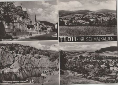 Floh-Seligenthal - Floh Floh-Seligenthal - Floh