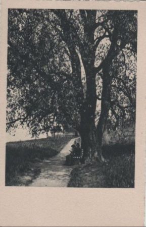 Bank am Wanderweg - ca. 1955 Bank am Wanderweg - ca. 1955