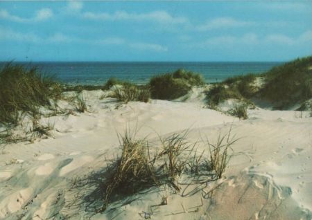 Dänemark - Vesterhavet - North Sea - 1984 Dänemark - Vesterhavet - North Sea - 1984