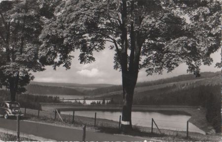 Harz - Hochharz, Teich beim Bocksberg und Auerhahn - 1966 Harz - Hochharz, Teich beim Bocksberg und Auerhahn - 1966