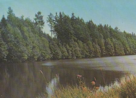 Naturbad Purzwinkel bei Tännesberg - ca. 1975 Naturbad Purzwinkel bei Tännesberg - ca. 1975