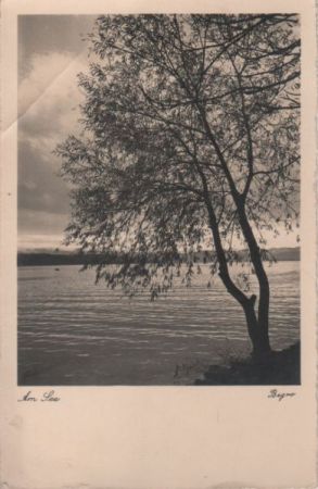 Baum am See Baum am See