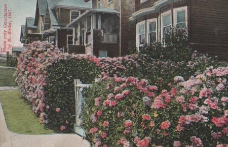 USA, Kalifornien - Oakland Ca. - Residence Street - ca. 1935 USA, Kalifornien - Oakland Ca. - Residence Street - ca. 1935