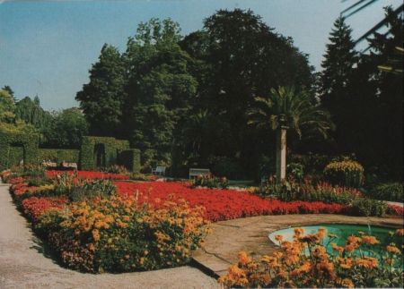 Bad Pyrmont - im Palmengarten - ca. 1980 Bad Pyrmont - im Palmengarten - ca. 1980