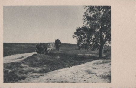 Feldlandschaft - ca. 1955 Feldlandschaft - ca. 1955