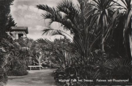 Wörlitz - Wörlitzer Park, Palmen mit Floratempel - 1958 Wörlitz - Wörlitzer Park, Palmen mit Floratempel - 1958