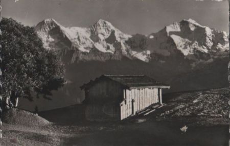 Schweiz - Beatenberg - Amisbühl - ca. 1960 Schweiz - Beatenberg - Amisbühl - ca. 1960