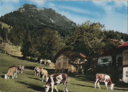 Fischbachau-Birkenstein - Schwaigeralm Fischbachau-Birkenstein - Schwaigeralm