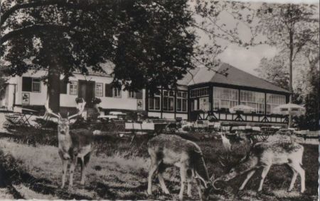Braunfels - Forsthaus im Tiergarten Braunfels - Forsthaus im Tiergarten