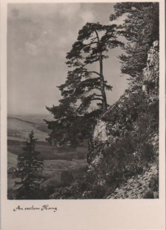Am sonnigen Hang - ca. 1950 Am sonnigen Hang - ca. 1950