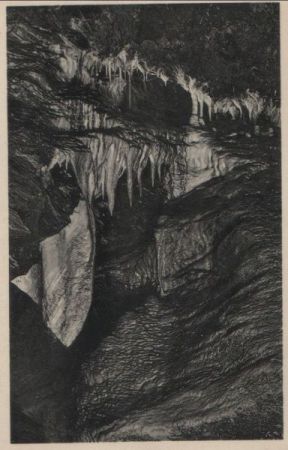Syrau - Elefantenohr der Drachenhöhle - 1933 Syrau - Elefantenohr der Drachenhöhle - 1933