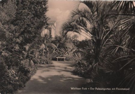 Wörlitz - Palmengarten Wörlitz - Palmengarten