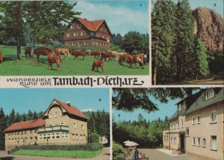 Tambach-Dietharz - u.a. Falkenstein - 1968 Tambach-Dietharz - u.a. Falkenstein - 1968