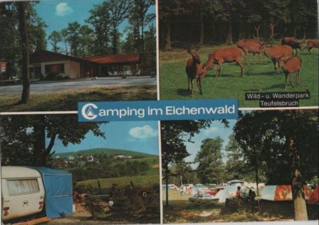Mittelhof - Camping im Eichenwald Mittelhof - Camping im Eichenwald