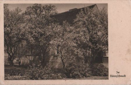 Haus im Blumenschmuck - 1941 Haus im Blumenschmuck - 1941