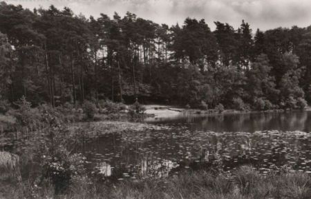 Mölln - Am Pinnsee - 1965 Mölln - Am Pinnsee - 1965