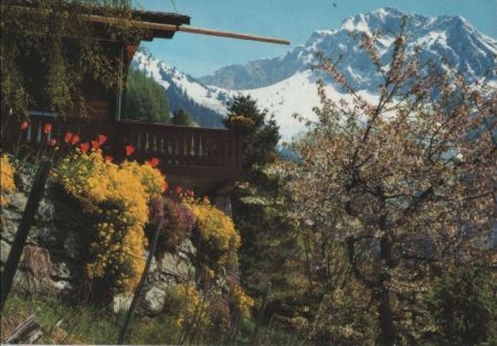 Schweiz - Caux - mit Rochers-de-Naye - ca. 1980 Schweiz - Caux - mit Rochers-de-Naye - ca. 1980