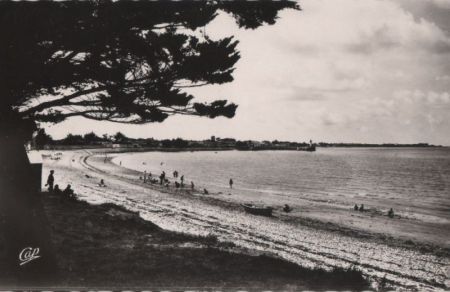 Frankreich - La Flotte-en-Re - La Plage - 1965 Frankreich - La Flotte-en-Re - La Plage - 1965