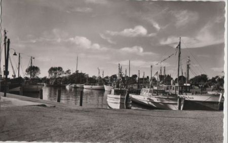 Timmendorfer Strand-Niendorf - Hafen Timmendorfer Strand-Niendorf - Hafen
