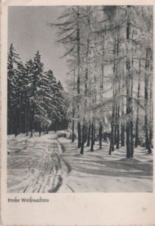 Frohe Weihnachten Winterbild Frohe Weihnachten Winterbild