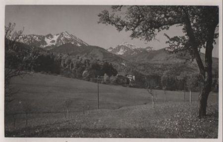 größere Wiese im Gebirge größere Wiese im Gebirge