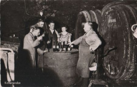 Kellerprobe Weinprobe Kellerprobe Weinprobe