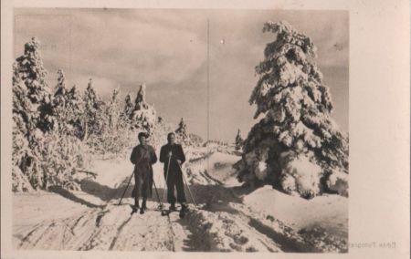 Skifahrer im Nadelwald Skifahrer im Nadelwald