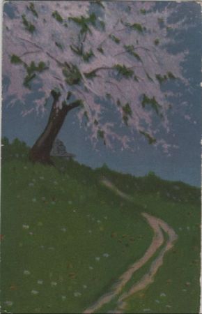 Weg am Baum Weg am Baum