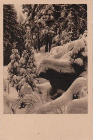 Winter Landschaft Winter Landschaft