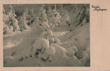 Neujahrsgrüße Winterlandschaft Neujahrsgrüße Winterlandschaft
