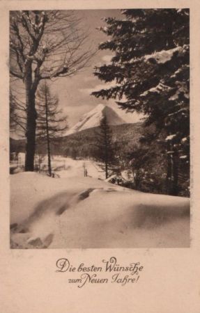 zum Neuen Jahre Winterlandschaft zum Neuen Jahre Winterlandschaft