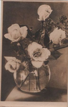 Rosen in Vase Rosen in Vase