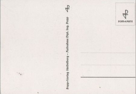 eine Blüte schwarzweiß