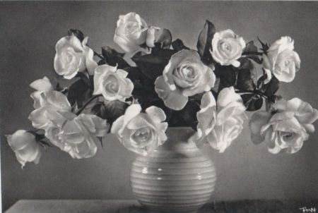 blühende Blumen in Vase blühende Blumen in Vase