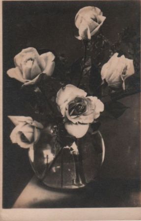 Rosen in Vase Rosen in Vase