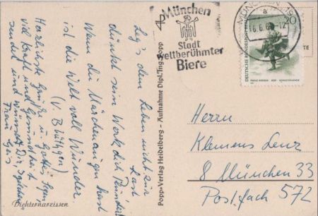 Dichternarzissen schwarzweiß Dichternarzissen schwarzweiß