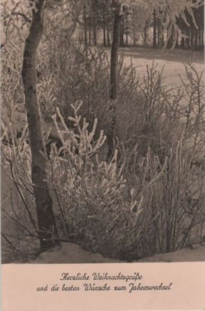 Weihnachtsgrüße Winterlandschaft Weihnachtsgrüße Winterlandschaft
