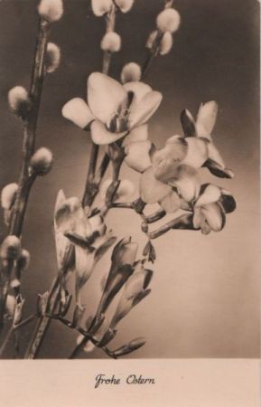Frohe Ostern Blüten Frohe Ostern Blüten