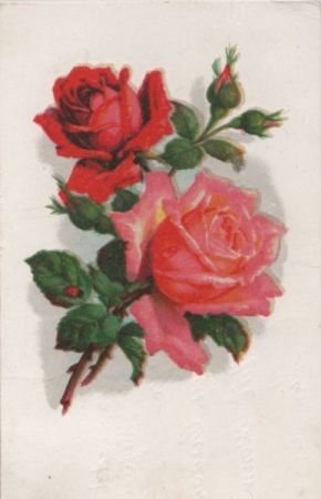 Rosen gezeichnet Rosen gezeichnet