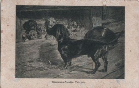 Biedermann-Arendts Vaterstolz Biedermann-Arendts Vaterstolz
