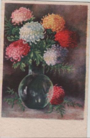 Blumen verschiedenfarbig Blumen verschiedenfarbig