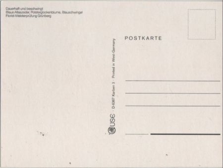 Blaue Atlaszeder Dauerhaft und beschwingt Blaue Atlaszeder Dauerhaft und beschwingt