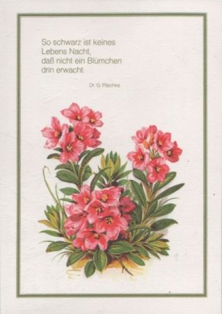 So schwarz ist keines Lebens Nacht Plischke So schwarz ist keines Lebens Nacht Plischke