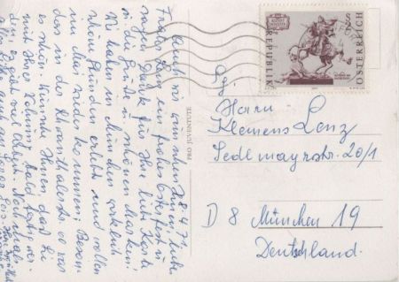 Felsenehrenpreis blühend