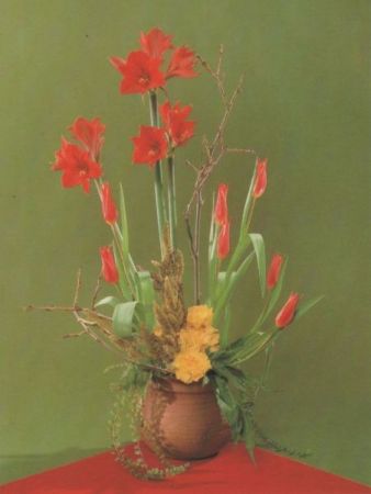 Amaryllis mit Tulpen Arrangement Amaryllis mit Tulpen Arrangement
