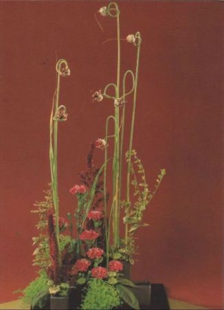 Allium mit Elo-Nelken Arrangement Allium mit Elo-Nelken Arrangement