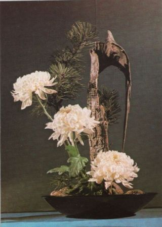 Ikebana von Gabriele Vocke Ikebana von Gabriele Vocke