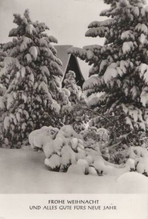 Frohe Weihnacht Schnee Frohe Weihnacht Schnee